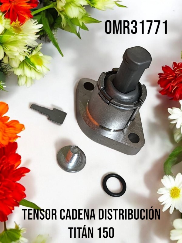 Foto Producto