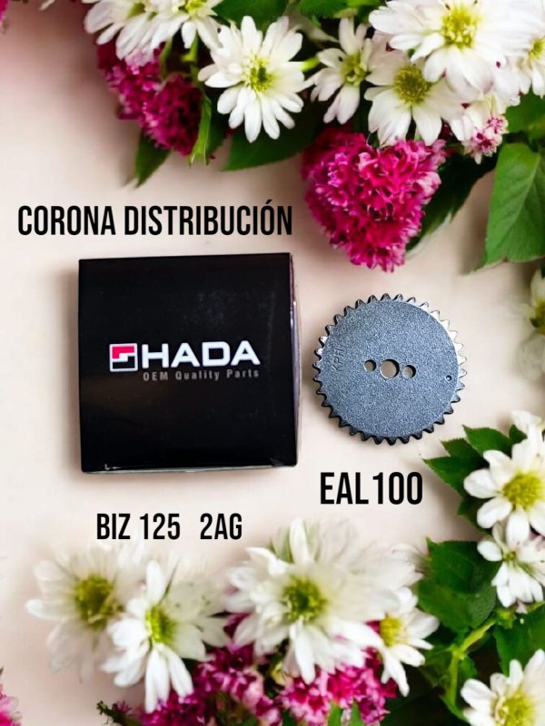Foto Producto