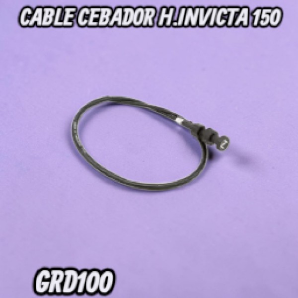 Foto Producto